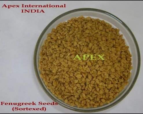 Brown Natural Raw Fenugreek Seed Methi, for Spices, Cooking, Packaging Type : Plastic Packet