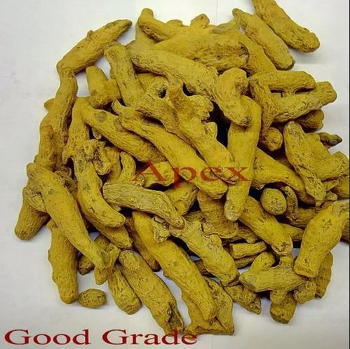 Orange Yellow Turmeric Finger, for Cooking, Spices, Food Medicine, Cosmetics, Packaging Size : 25 Kg