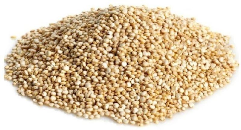Organic White Quinoa Seeds, Packaging Type : Plastic Bag