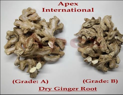 Natural Whole Dried Ginger, for Cooking, Shelf Life : 3-6months