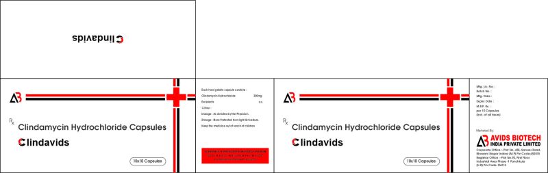 Clindamycin Hydrochloride 300 mg