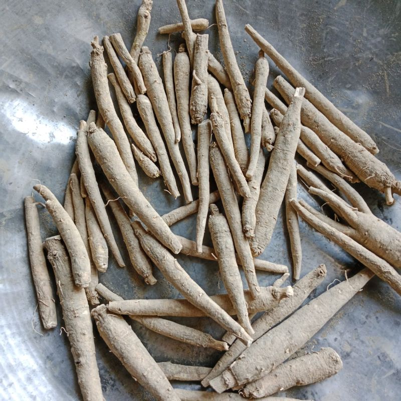 Dry Ashwagandha Root