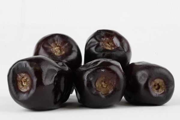 mazafati dates
