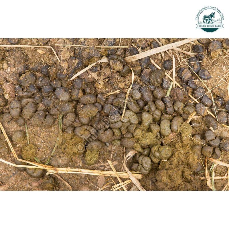 Donkey Dung, for Agriculture, Packaging Type : PP Bag