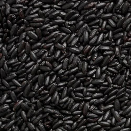 Black Rice, Packaging Type : Customsized