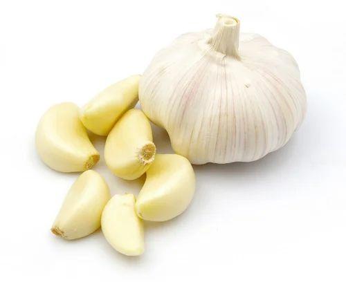 Off White Fresh Garlic, for Cooking Medicine, Packaging Type : Plastic Bags, Gunny Bag