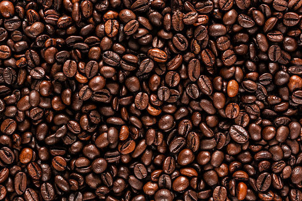 Roasted Coffee Beans, Shelf Life : 6 Months