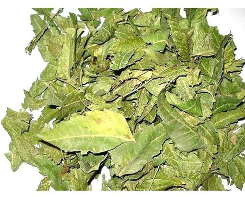 Green Dried Neem Leaf, for Cosmetic, Medicine, Gender : Unisex