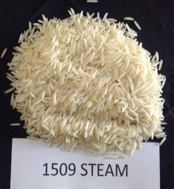 White Unpolished Organic Soft 1509 Steam Basmati Rice, for Cooking, Variety : Medium Grain