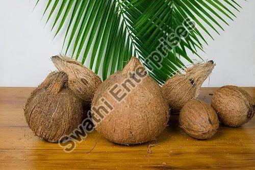A Grade Organic Husked Coconut, Speciality : Freshness, Healthy