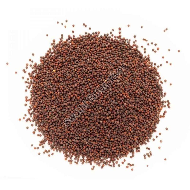 Natural Brown Mustard Seeds, for Spices, Cooking, Packaging Size : 10 kg