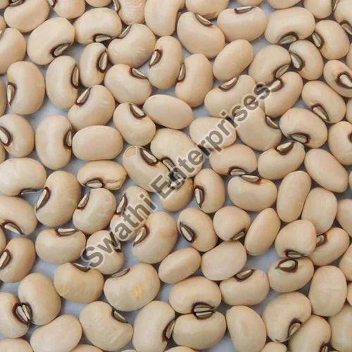 Natural Cow Pea Seeds, for Cooking, Style : Dried