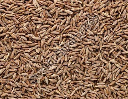 Brown Natural Cumin Seeds, for Cooking, Packaging Size : 10 kg