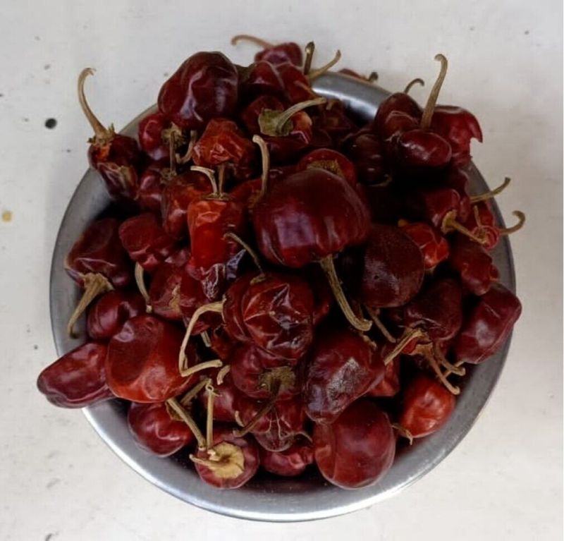 Dried Boriya Red Chilli, for Cooking, Shelf Life : 6months