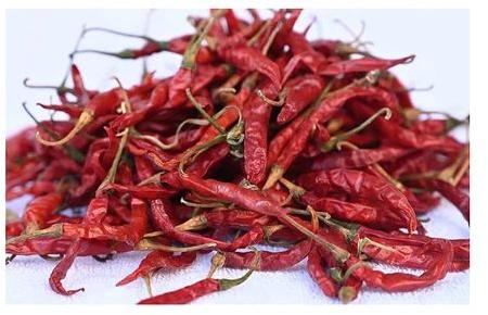 Dried Lavangi Red Chilli, for Cooking, Shelf Life : 6months