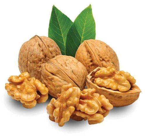 Brown Chile Walnut With Shell, for Human Consumption, Packaging Type : Vacuum Pack