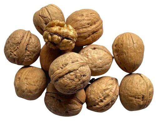 Brown Kashmiri Walnut With Shell, for Human Consumption, Packaging Type : Vacuum Pack