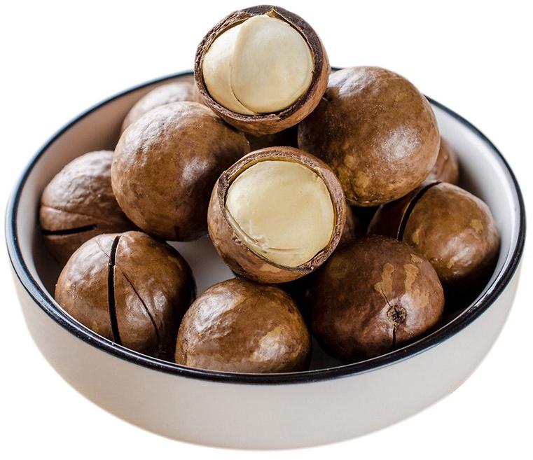 Macadamia Nuts, for Human Consumption, Packaging Type : Plastic Packet