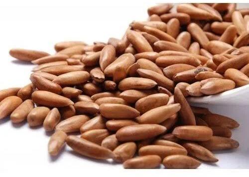 Brown Pine Nuts, for Human Consumption, Packaging Type : Plastic Packet