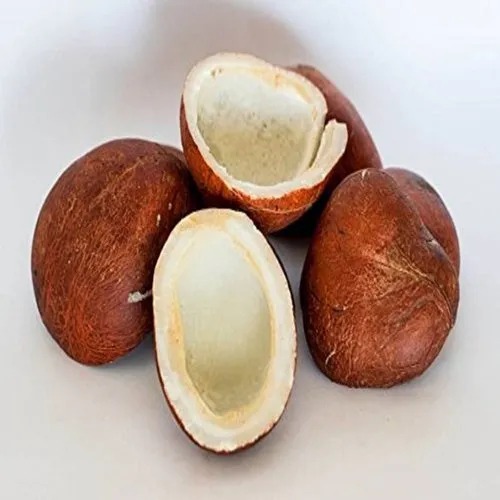 Dry Copara Coconut