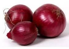 Fresh Red Onions, Packaging Type : Gunny Bag