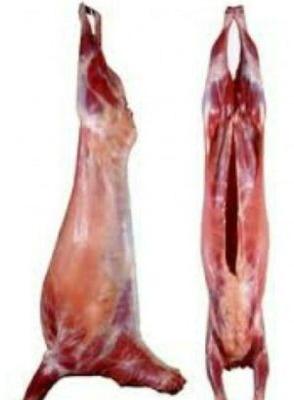 Red Jamunapari Goat Meat, for Cooking, Packaging Type : Plastic Poly Bag
