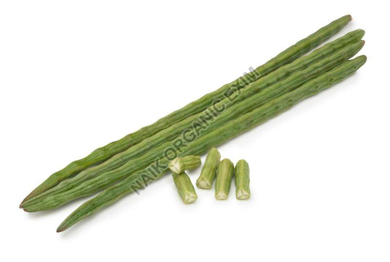 Green Organic Fresh Drumsticks, for Cooking, Style : Natural