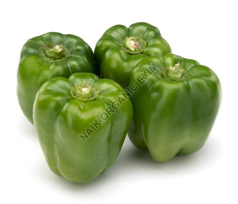 Fresh Green Capsicum, for Cooking, Shelf Life : 10-15 Days