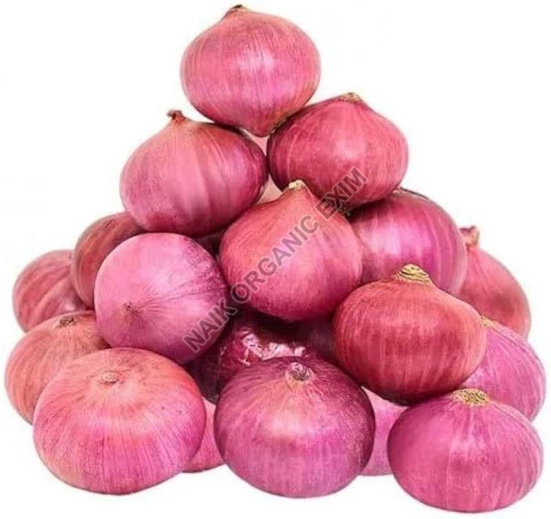 Round Fresh Pink Onion, for Cooking, Shelf Life : 7-10 Days