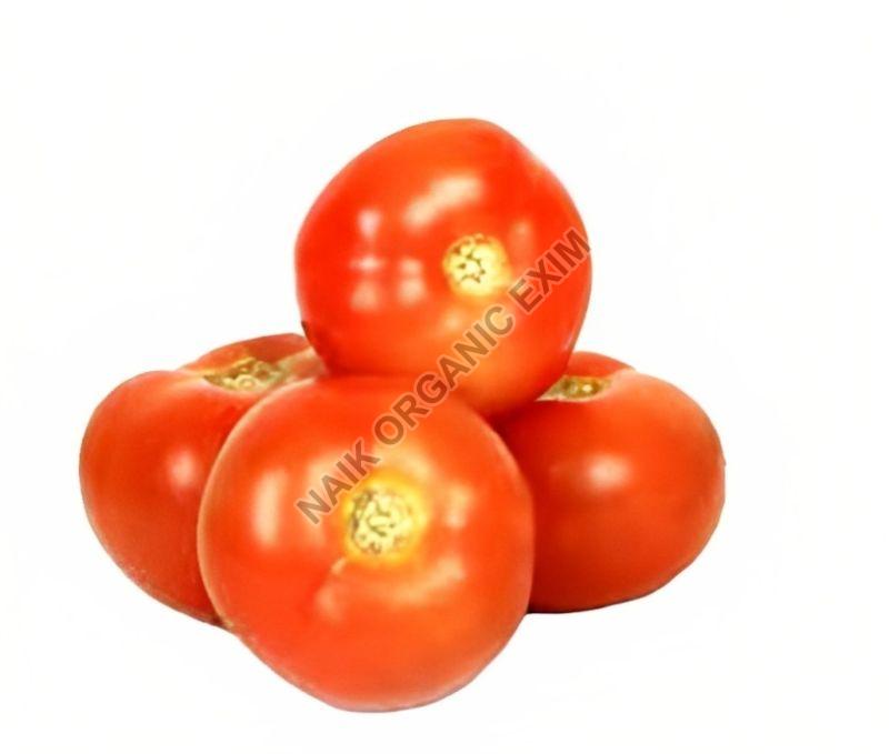 Round Fresh Red Tomato, Shelf Life : 10 Days