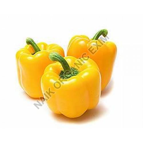 Fresh Yellow Capsicum, for Cooking, Shelf Life : 10-15 Days