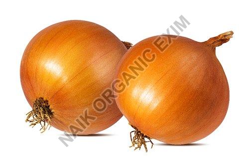 Round Organic Fresh Yellow Onion, for Cooking, Shelf Life : 10-15 Days