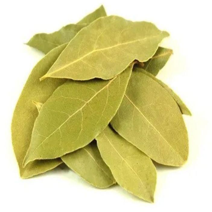 Green Dry Bay Leaf, for Cooking, Shelf Life : 12 Months at Best Price ...