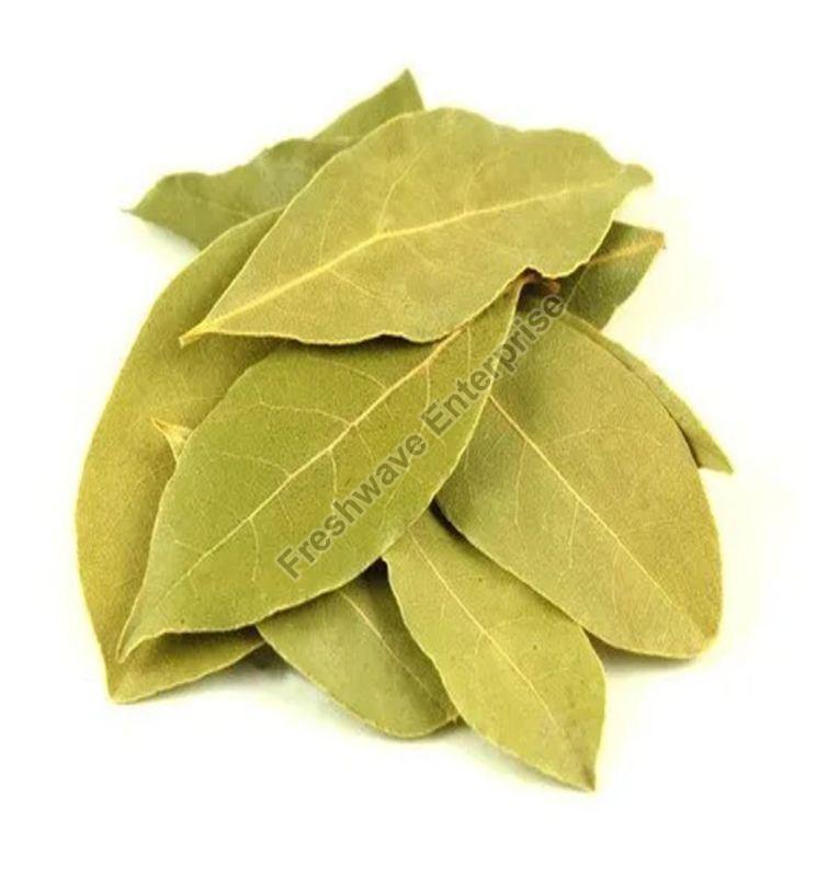 Green Dry Bay Leaf, for Cooking, Shelf Life : 12 Months