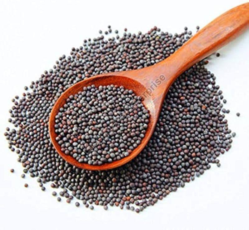 Black Mustard Seeds, for Spices, Cooking, Packaging Size : 5-10 Kg