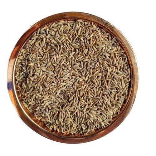 Brown Cumin Seeds, for Cooking, Variety : Kashmiri Jeera