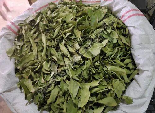 Green Dry Curry Leaves, for Cooking, Grade Standard : Food Grade