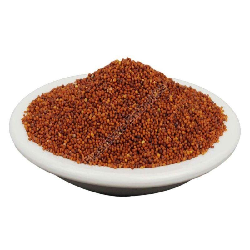 Red Mustard Seeds, Packaging Size : 5-10 Kg