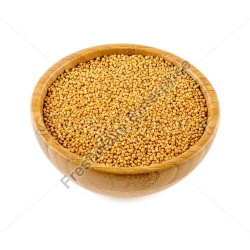 Yellow Mustard Seeds, for Spices, Packaging Size : 5-10 Kg