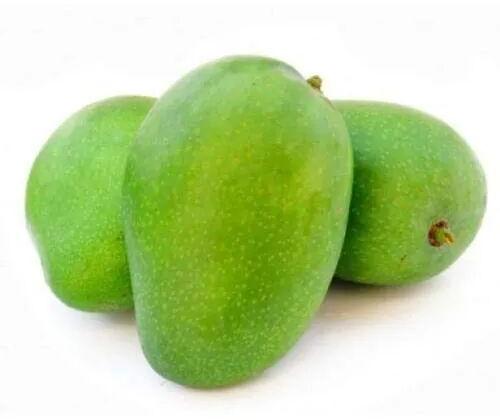 Natural Raw Rajapuri Mango, Packaging Size : 10 Kg