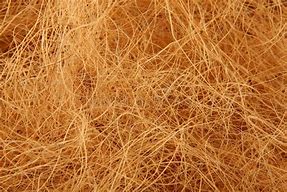Light Brown Raw coco fibre, for Mats, Ropes, Packaging Type : Bundle
