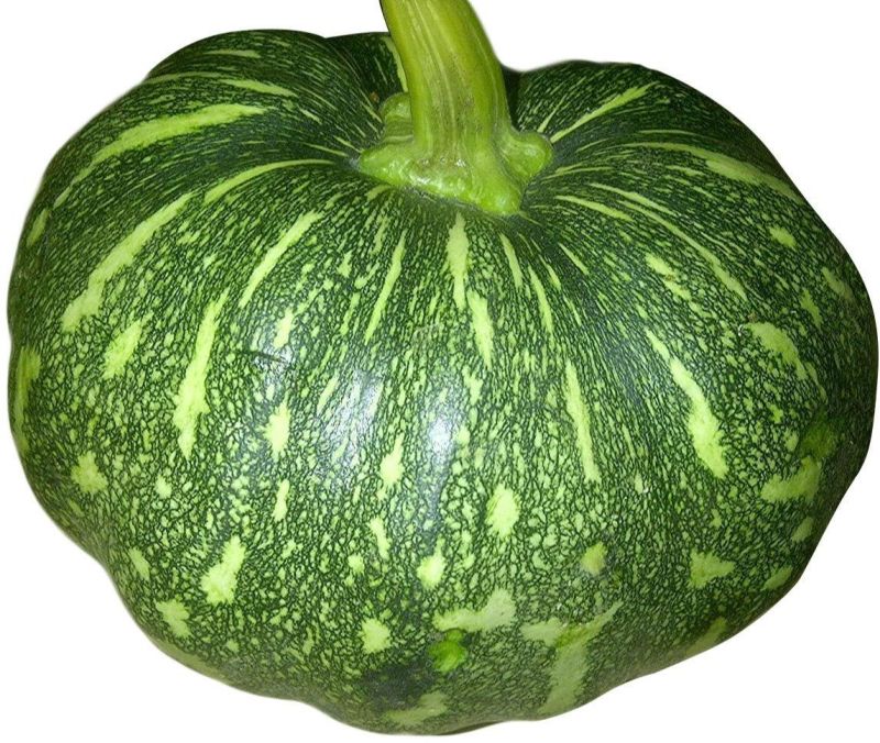A Grade Fresh Pumpkin, Packaging Size : 20kg