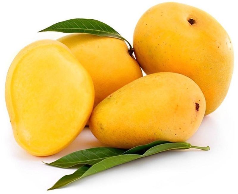 Natural Fresh Badami Mango, for Juice Making, Food Processing, Direct Consumption, Packaging Size : 10 kg