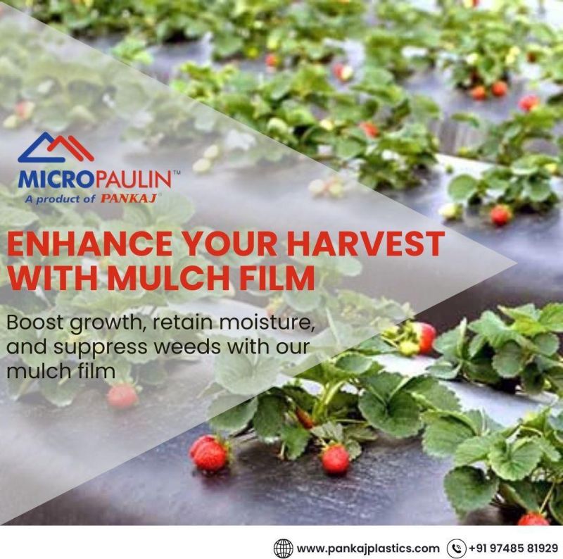 Mulching Film