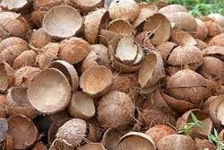 Brown Raw Coconut Shell, For Decoration
