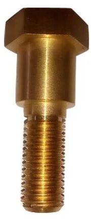 Golden Polished Brass Nozzle, for Industrial
