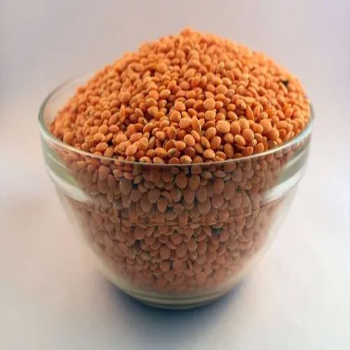 Farmer Dressed Whole Red Masoor Dal, for Human Consumption, Feature : Nutritious, Hygienically Packed