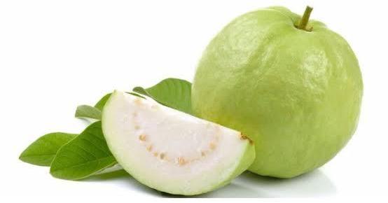 Natural fresh guava, Certification : GAP Certified