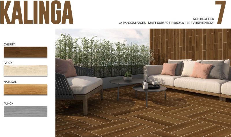 Kalinga Porcelain Border Tiles