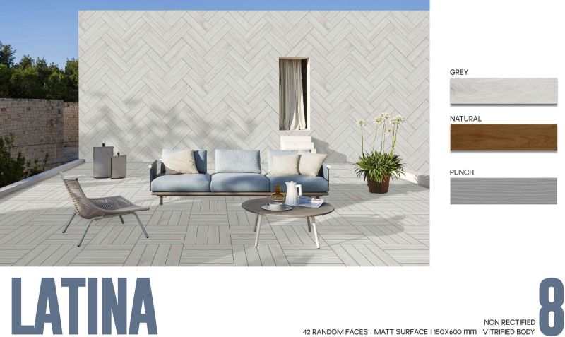 Latina Grey Porcelain Border Tiles